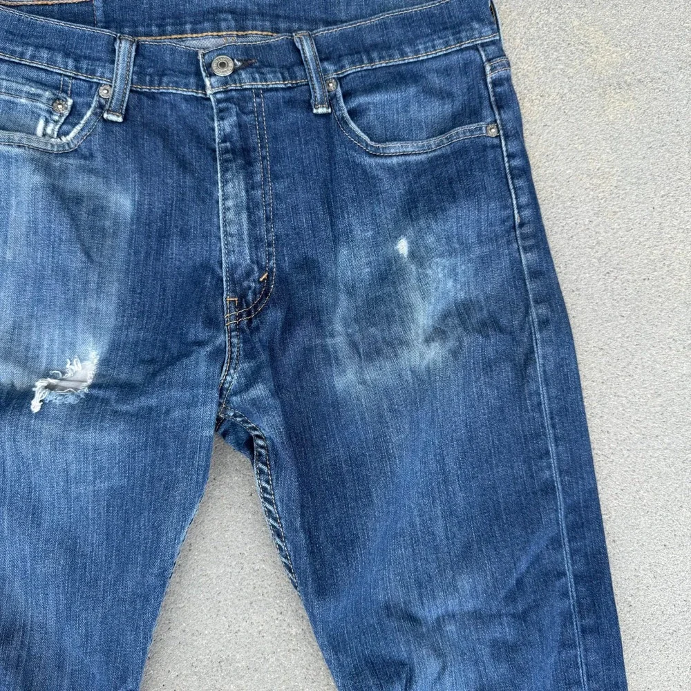 Levis levis 511